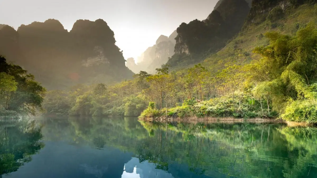 智能高质量先进
